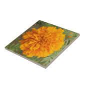 Orange Carnation Fliese (Seite)