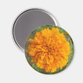Orange Carnation Magnet (Vorderseite/Rückseite)
