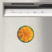 Orange Carnation Magnet (In Situ (Geschirrspüler))