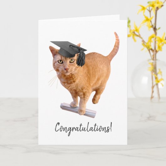 Orange Cat Abschluss Card Karte (Gelbe Blume)
