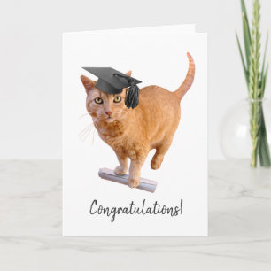 Orange Cat Abschluss Card Karte