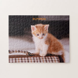 Orange cat auf einem Heimtierträger / Orange Kitte Puzzle