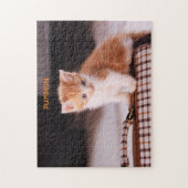Orange cat auf einem Heimtierträger / Orange Kitte Puzzle (Vertikal)