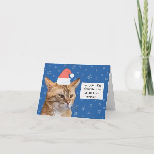 Orange Cat Christmas Card Feiertagskarte (Vorderseite)