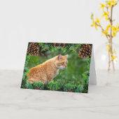 Orange Cat Christmas Card Karte (Gelbe Blume)