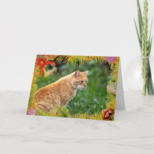 Orange Cat Christmas Card Karte (Vorderseite)