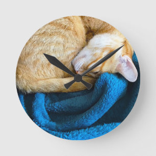 Orange cat curled up on blanket runde wanduhr