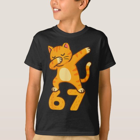 Orange Cat Dabbing Funny 67 Six Seven Meme T-Shirt (Vorderseite)