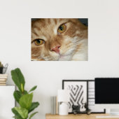 Orange Cat Eyes Poster (Heimbüro)