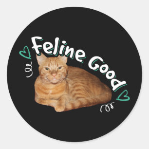 Orange Cat - Feline Good Puppe Runder Aufkleber