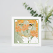 Orange Cat Foliage Peeper (Stehend Vorderseite)