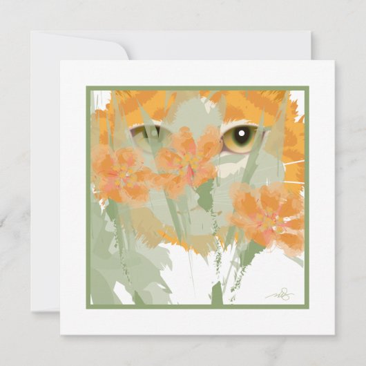 Orange Cat Foliage Peeper (Vorderseite)