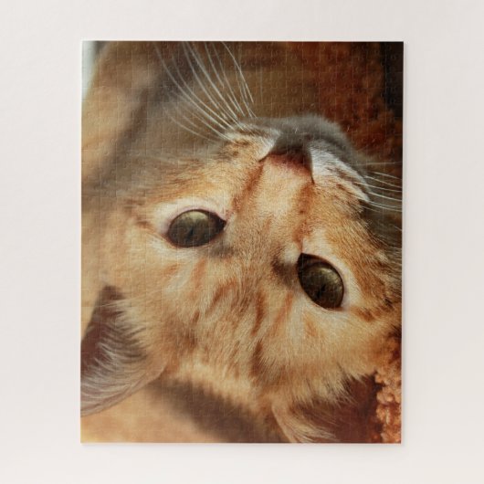 Orange Cat Jigsaw Puzzle (Vertikal)