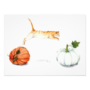 Orange Cat Jumping between Pumpkins Fotodruck