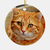 Orange Cat Keramik Ornament (Vorne)