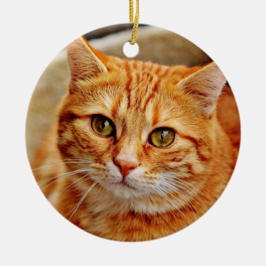 Orange Cat Keramik Ornament (Vorne)