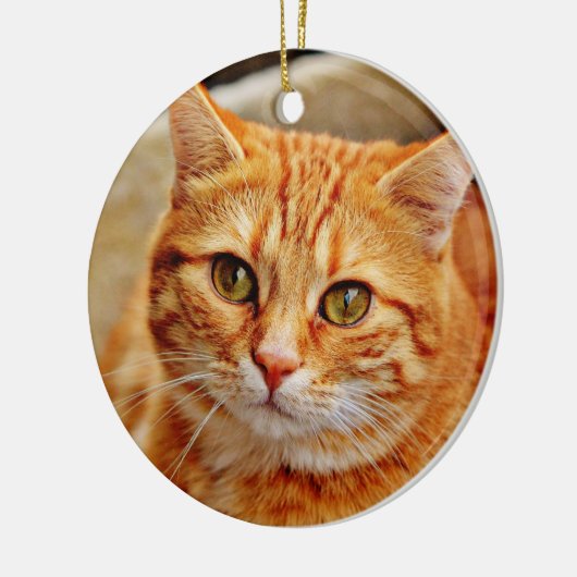 Orange Cat Keramik Ornament (Links)