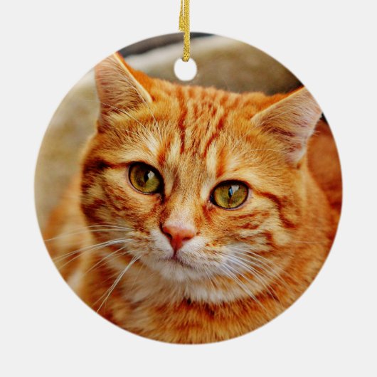 Orange Cat Keramik Ornament (Hinten)