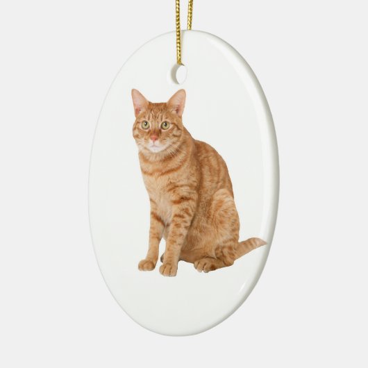 Orange Cat Keramik Ornament (Links)