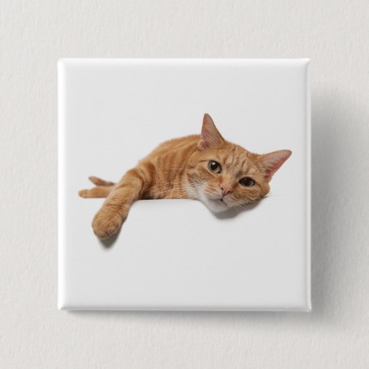 Orange Cat Lay Down Button (Vorderseite)