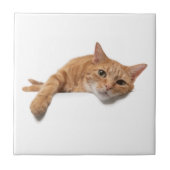 Orange Cat Lay Down Fliese (Vorderseite)