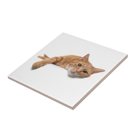 Orange Cat Lay Down Fliese (Seite)
