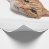 Orange Cat Lay Down Geschenkpapier (Ecke)