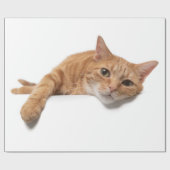 Orange Cat Lay Down Geschenkpapier (Flach)