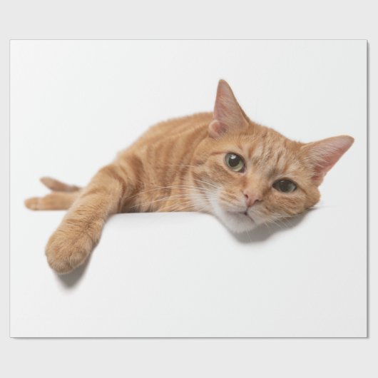 Orange Cat Lay Down Geschenkpapier (Flach)