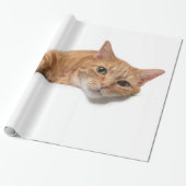 Orange Cat Lay Down Geschenkpapier (Ungerollt)