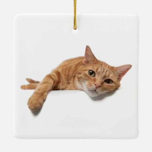 Orange Cat Lay Down Keramikornament (Rückseite)