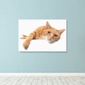 Orange Cat Lay Down Leinwanddruck (Insitu (Holzboden))