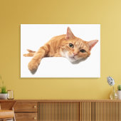 Orange Cat Lay Down Leinwanddruck (Insitu (Wohnzimmer))