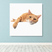 Orange Cat Lay Down Leinwanddruck (Insitu (Holzboden))