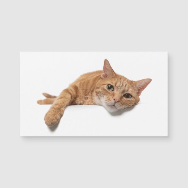 Orange Cat Lay Down Magnetkarte (Vorderseite)