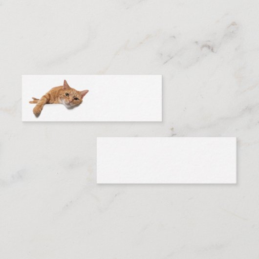 Orange Cat Lay Down Mini Visitenkarte (Vorne/Hinten)