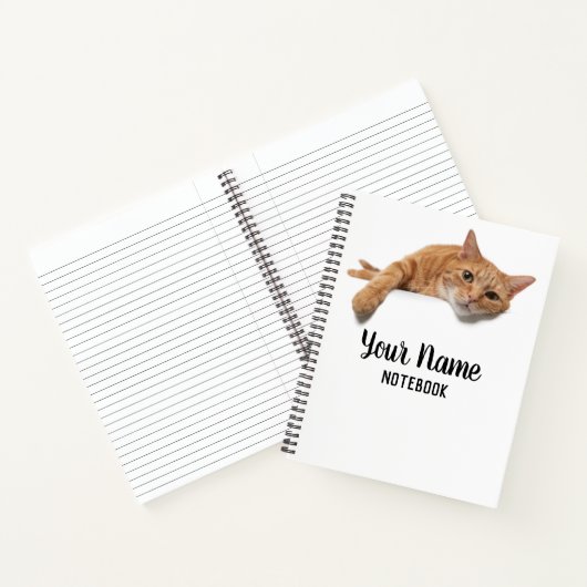 Orange Cat Lay Down Notizblock (Innenseite)