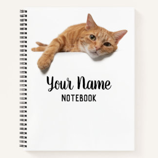Orange Cat Lay Down Notizblock