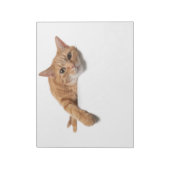 Orange Cat Lay Down Notizblock (Rotiert)