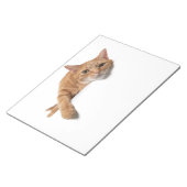 Orange Cat Lay Down Notizblock (angewinkelt)