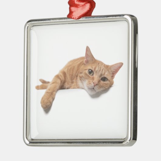 Orange Cat Lay Down Ornament Aus Metall (Links)
