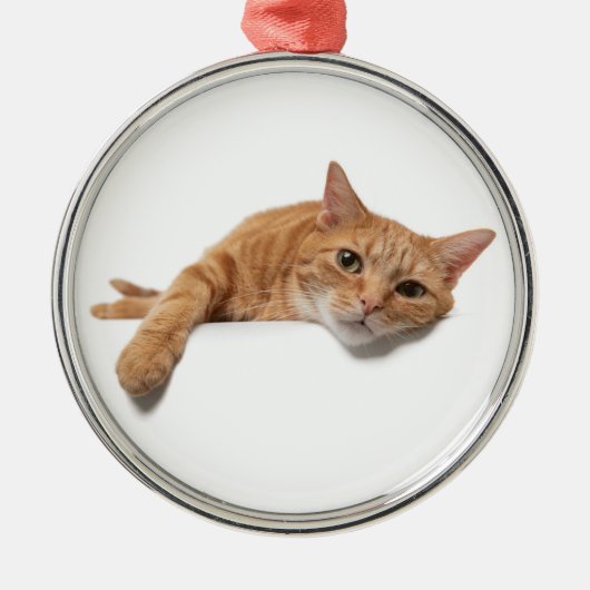 Orange Cat Lay Down Ornament Aus Metall (Vorne)