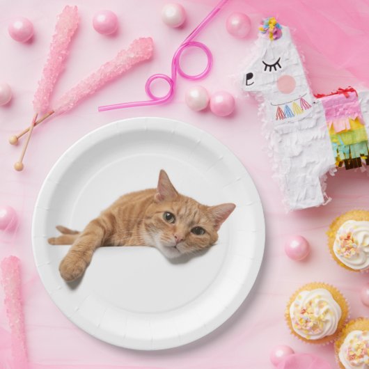 Orange Cat Lay Down Pappteller (Party)