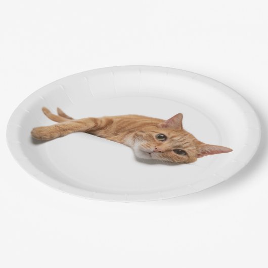 Orange Cat Lay Down Pappteller (Schrägansicht)
