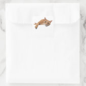 Orange Cat Lay Down Quadratischer Aufkleber (Tasche)