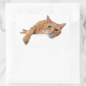 Orange Cat Lay Down Rechteckiger Aufkleber (Tasche)