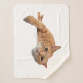 Orange Cat Lay Down Sherpadecke (Vorderseite)