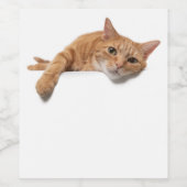 Orange Cat Lay Down Weinetikett (Einzelnes Label)