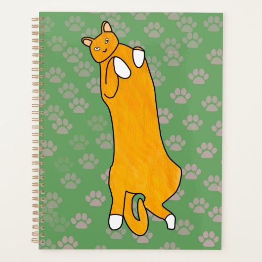 Orange Cat Laying on Back Planer (Vorderseite)