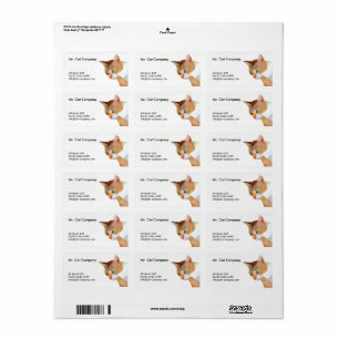 Orange Cat Low Polygon Adressaufkleber